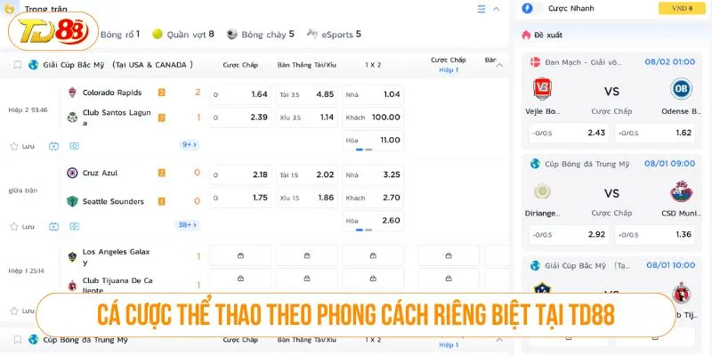 Cá cược thể thao theo phong cách riêng biệt tại TD88