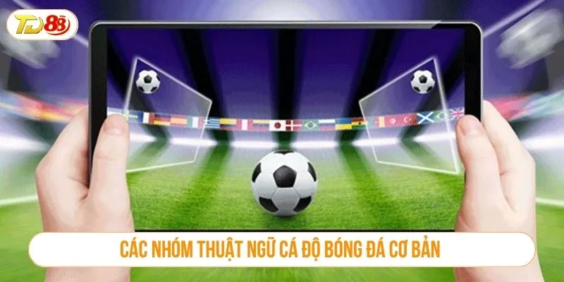 Thuật Ngữ Cá Độ Bóng Đá Phổ Biến Cần Biết Tại TD88 Các nhóm thuật ngữ cá độ bóng đá cơ bản