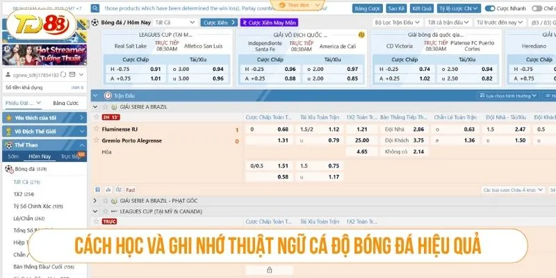 Thuật Ngữ Cá Độ Bóng Đá Phổ Biến Cần Biết Tại TD88 Cách học và ghi nhớ thuật ngữ cá độ bóng đá hiệu quả