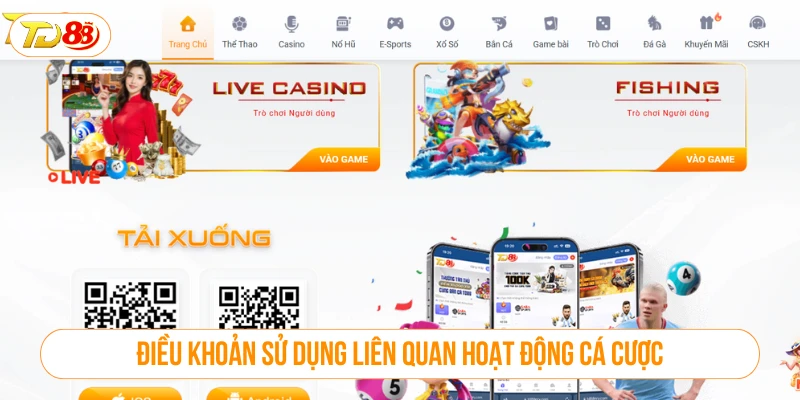 Điều khoản sử dụng liên quan đến hoạt động cá cược