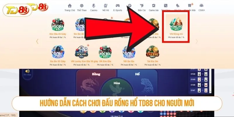 Hướng dẫn cách chơi đấu rồng hổ TD88 cho người mới
