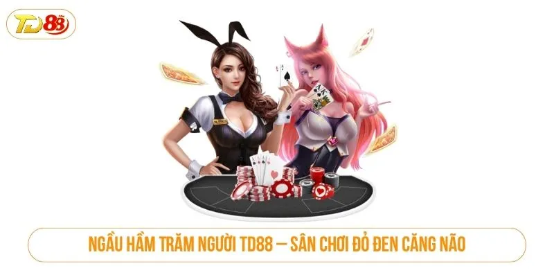 Ngầu Hầm Trăm Người TD88 – Sân Chơi Đỏ Đen Căng Não Ngầu hầm trăm người