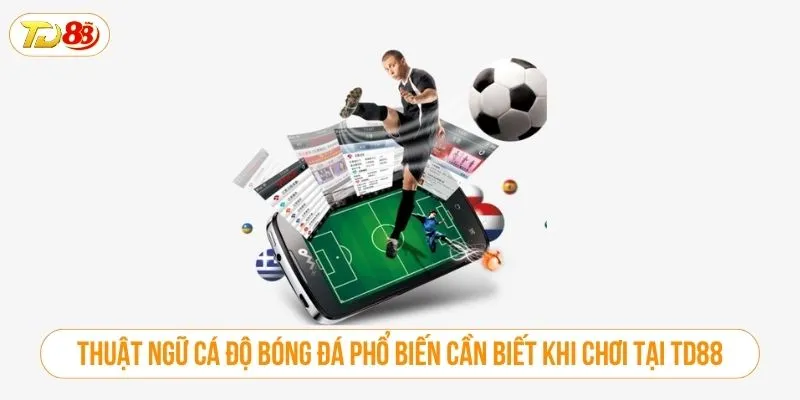 Thuật Ngữ Cá Độ Bóng Đá Phổ Biến Cần Biết Tại TD88 Thuật ngữ cá độ bóng đá